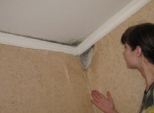 Як вивести грибок на стелі і стінах?