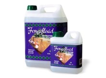 Запах цвілі у квартирі чи будинку