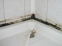 Грибок у ванній кімнаті.